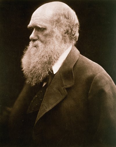 Charles Darwin, ca. 1870 von Julia Margaret Cameron